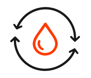 Boosts circulation